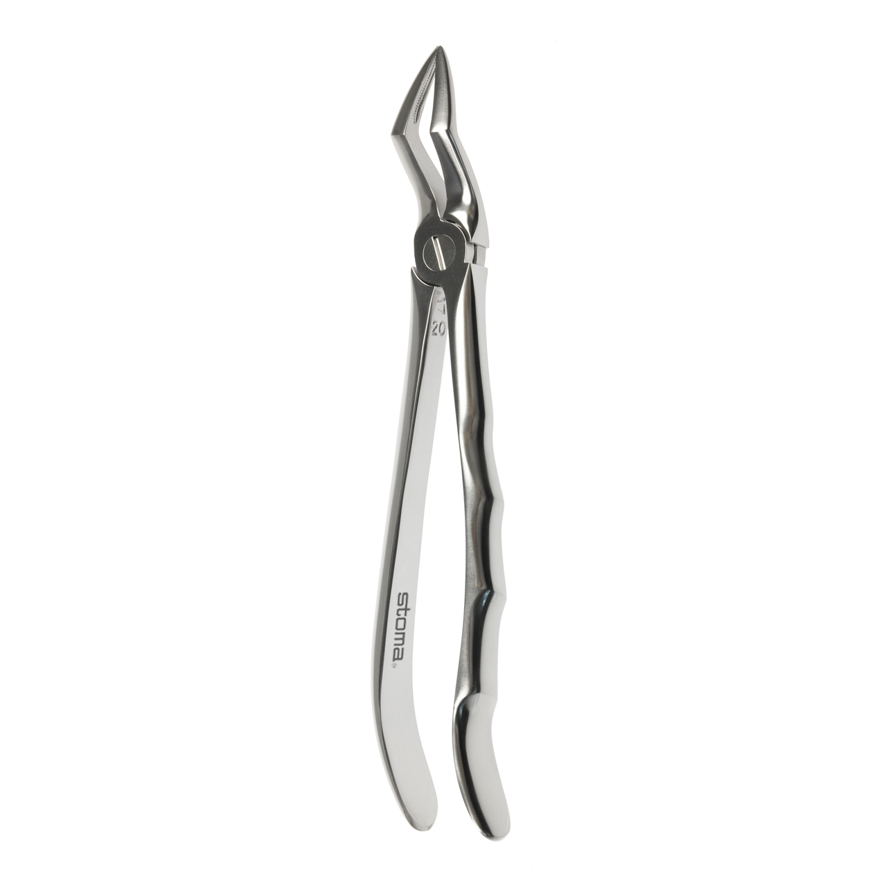 Davier racines supérieures, fin, fig. 51A, Fifo