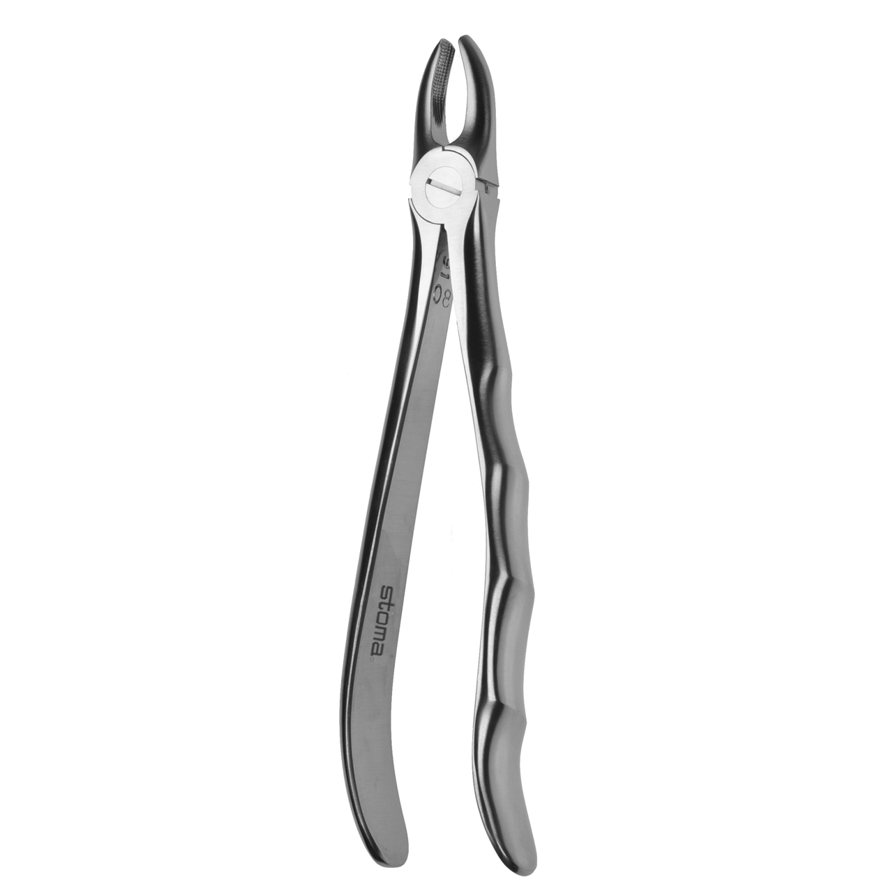 Davier incisives/canines supérieures, fig. 2, Fifo