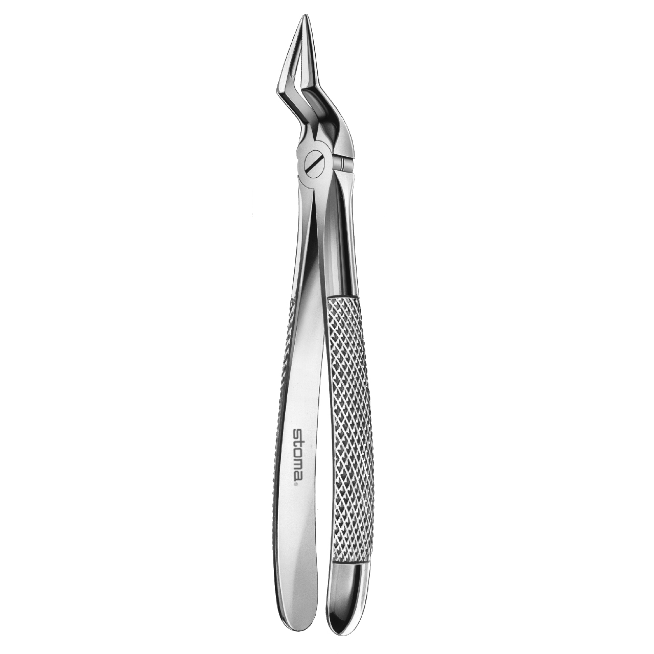 Davier racines supérieures, fin, fig. 51A