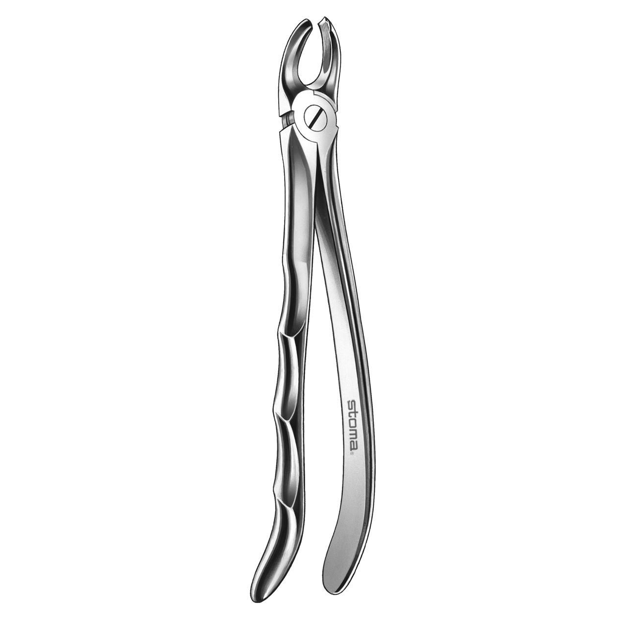 Davier molaires supérieures, gauche, fig. 18, Fifo
