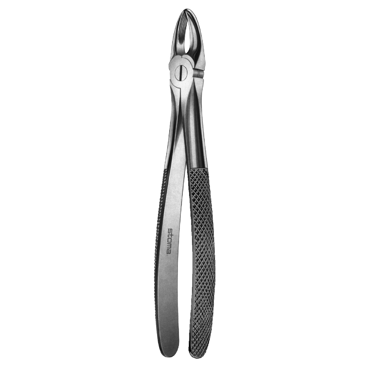 Davier incisives/canines supérieures, fig. 1