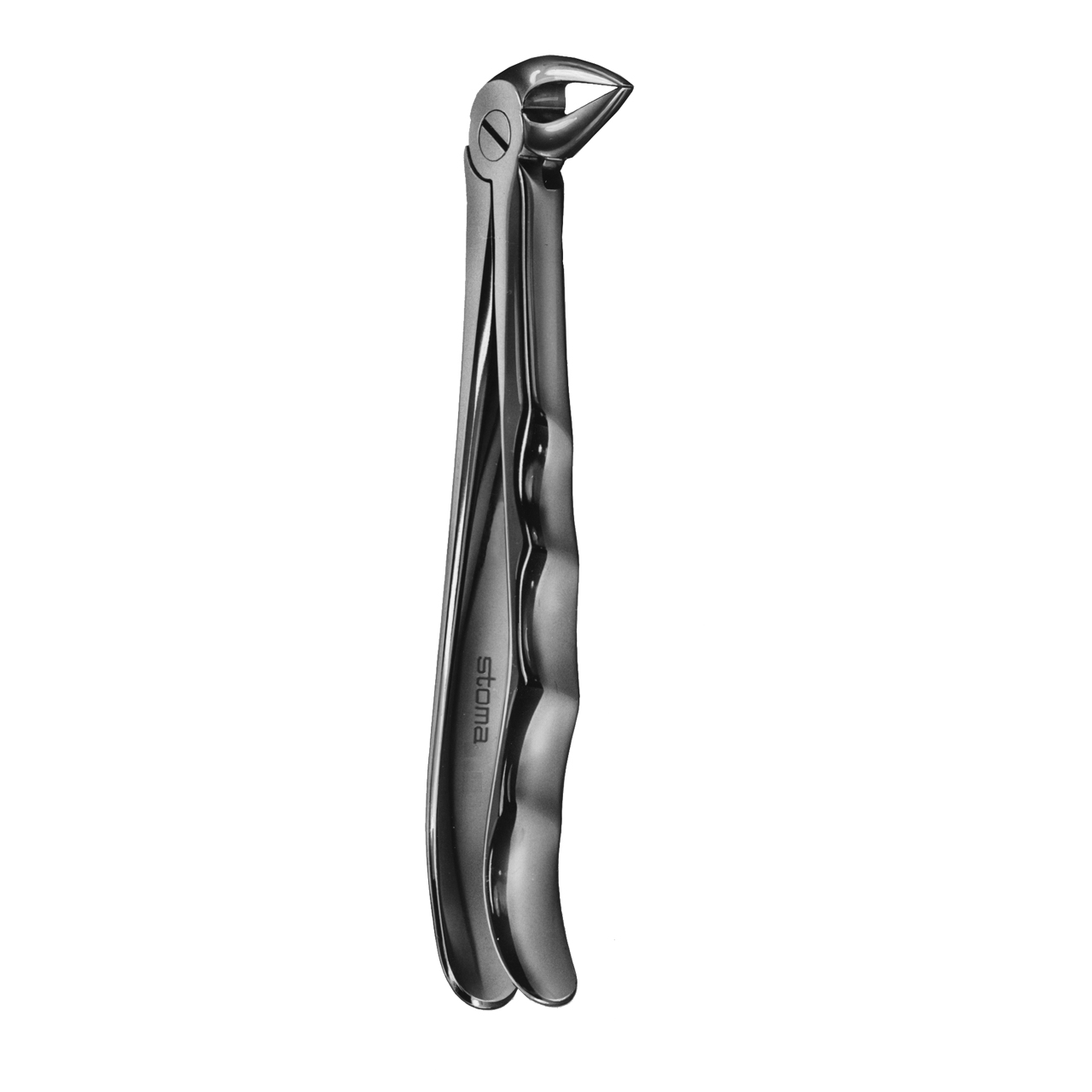 Davier racines inférieures, fin, Fig. 33A, Fifo