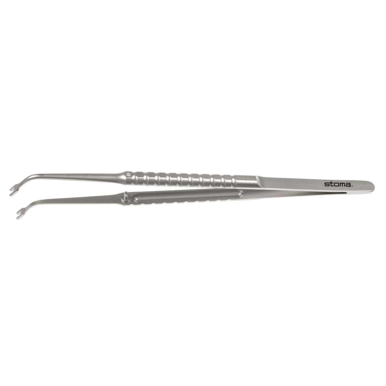 Pince porte-membrane, Elaskary, 4 mm, coudée sur le plat