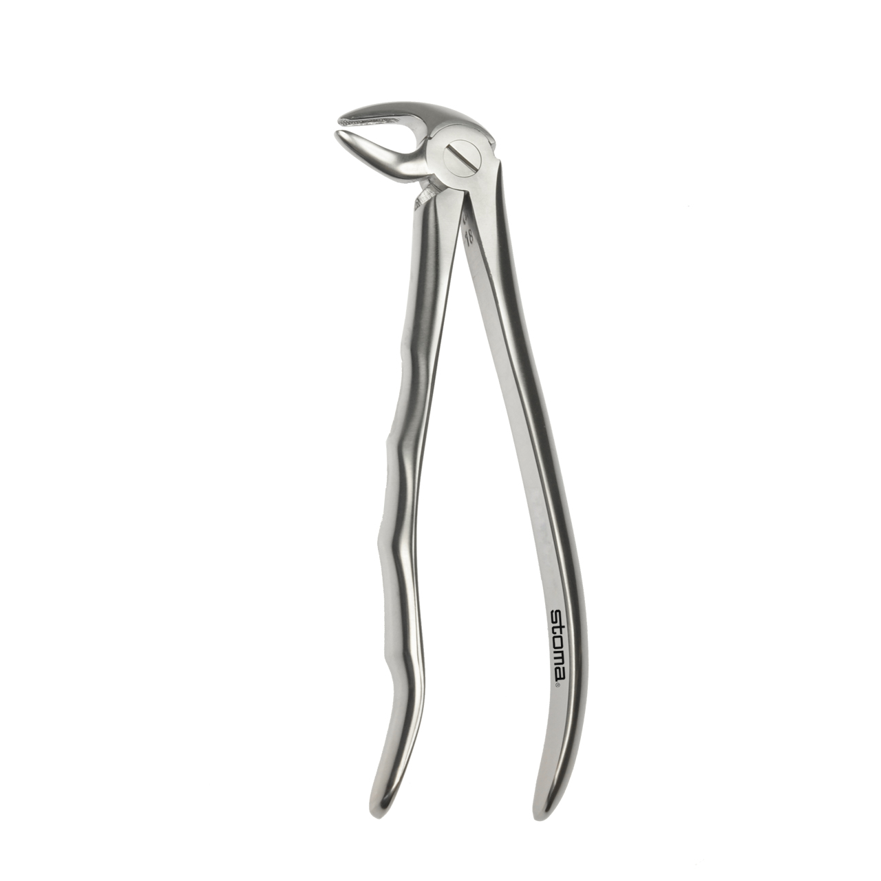 Davier racines inférieures, large, Fig. 33, Fifo