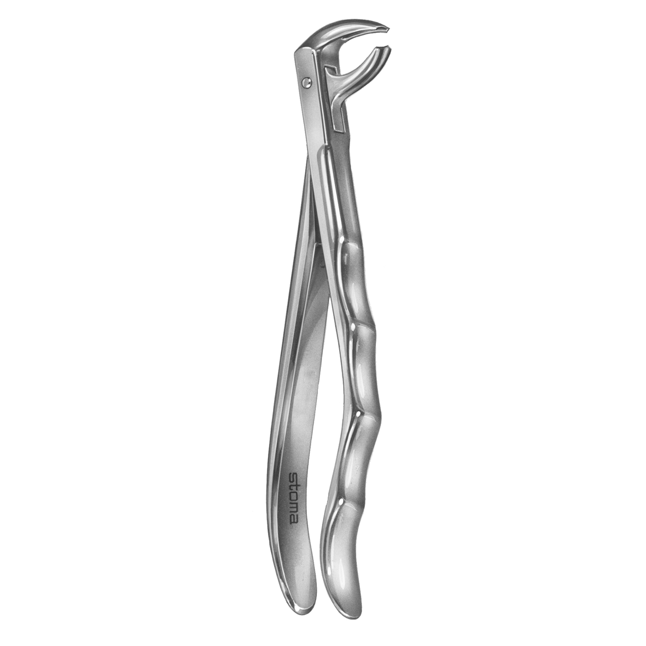 Davier molaires inférieures, fig. 73, Fifo