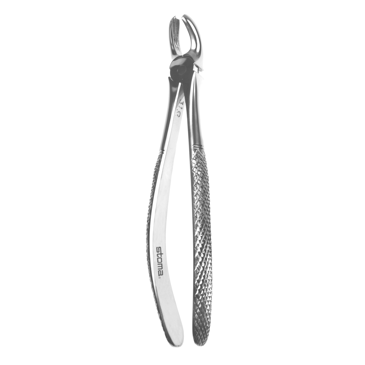 Davier molaires supérieures, droite, fig. 17