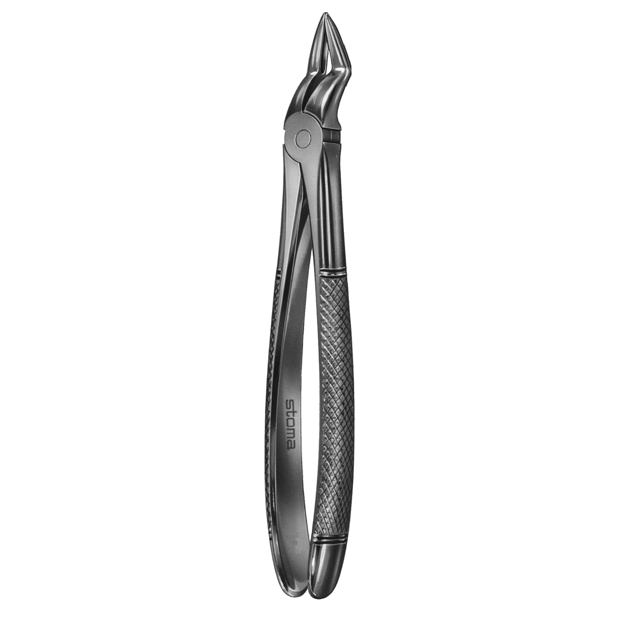 Davier enfant racine supérieure, fig. 51S