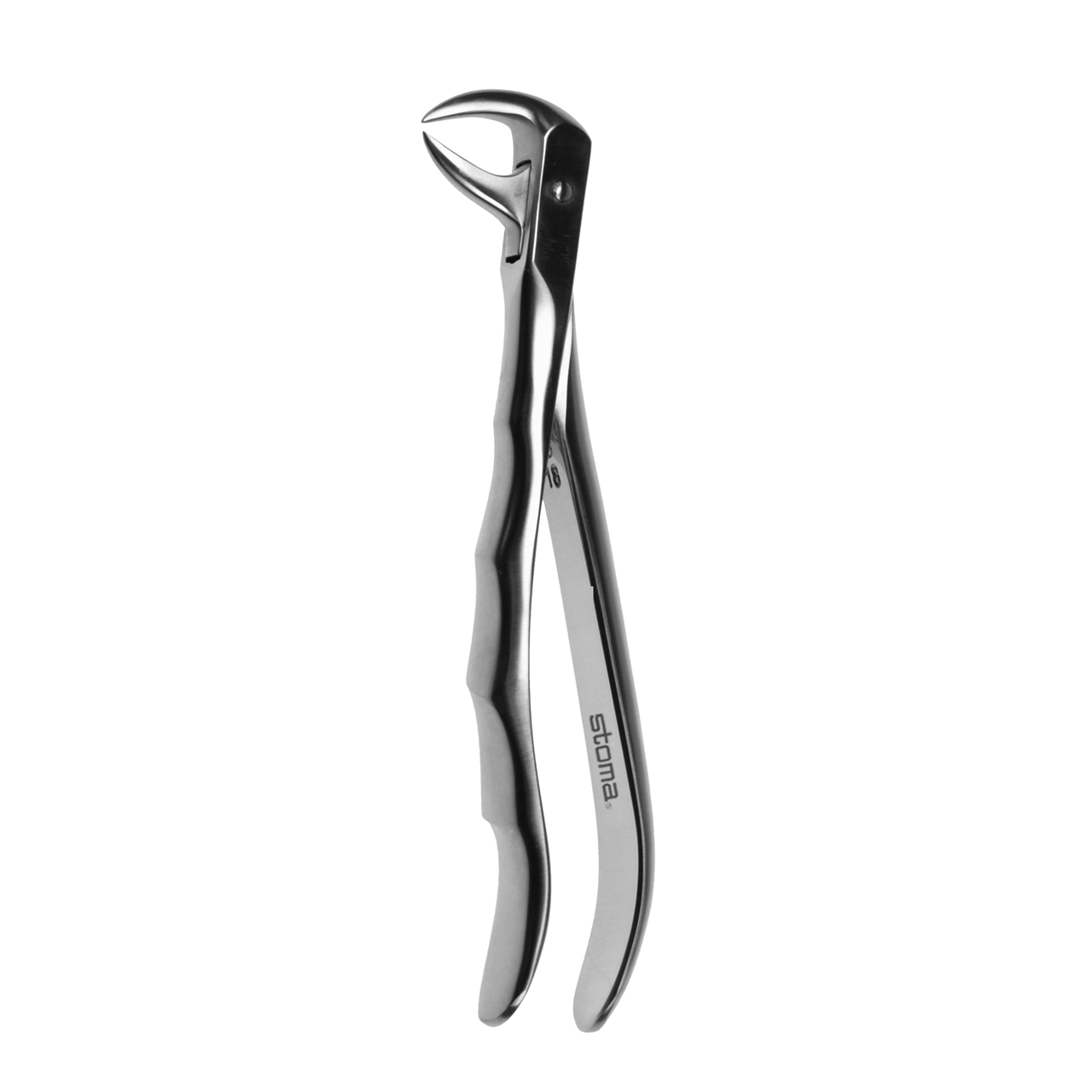 Davier molaires inférieures, fig. 86, Fifo