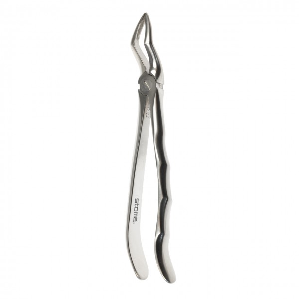 Forceps upper roots, broad, fig. 51